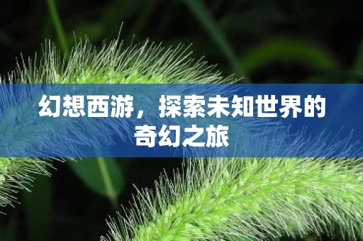 幻想西游，探索未知世界的奇幻之旅