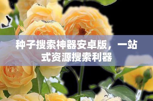 种子搜索神器安卓版图片