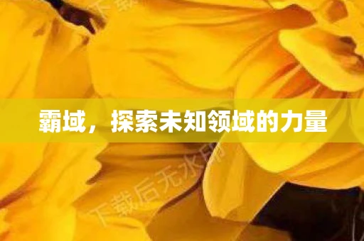 霸域，探索未知领域的力量