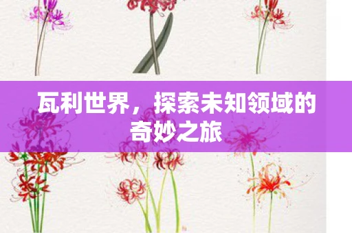 瓦利世界，探索未知领域的奇妙之旅