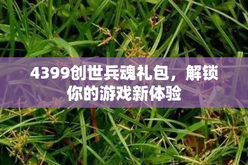 4399创世兵魂礼包，解锁你的游戏新体验