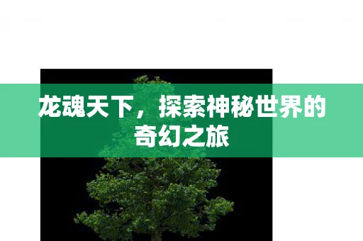 龙魂天下，探索神秘世界的奇幻之旅