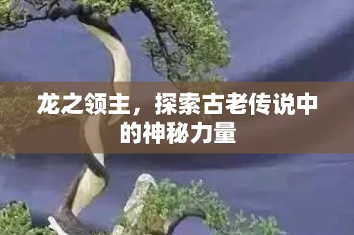 龙之领主，探索古老传说中的神秘力量