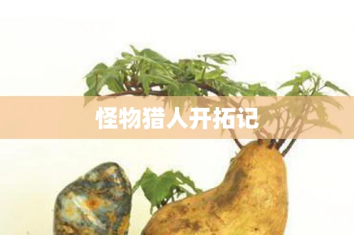 怪物猎人开拓记