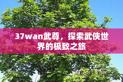 37wan武尊，探索武侠世界的极致之旅