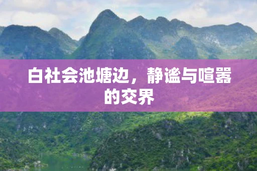 白社会池塘边，静谧与喧嚣的交界