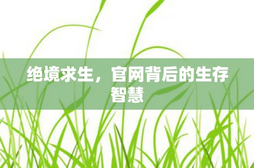 绝境求生，官网背后的生存智慧