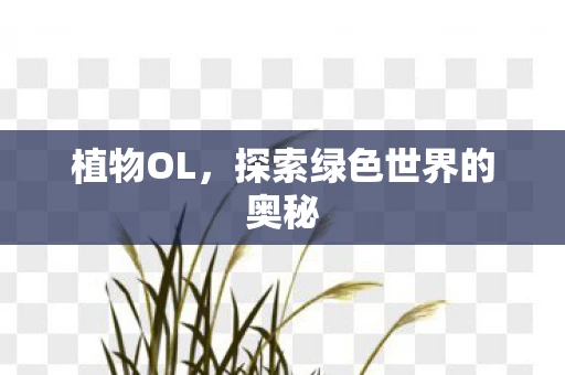 植物OL，探索绿色世界的奥秘