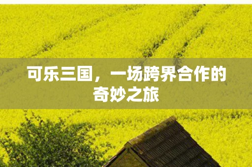 可乐三国，一场跨界合作的奇妙之旅