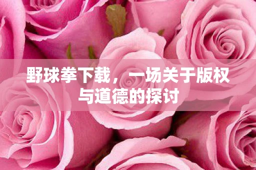 野球拳下载，一场关于版权与道德的探讨