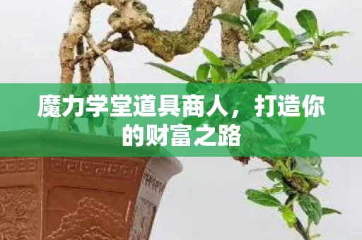 魔力学堂道具商人，打造你的财富之路