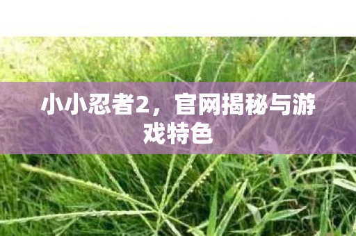 小小忍者2，官网揭秘与游戏特色