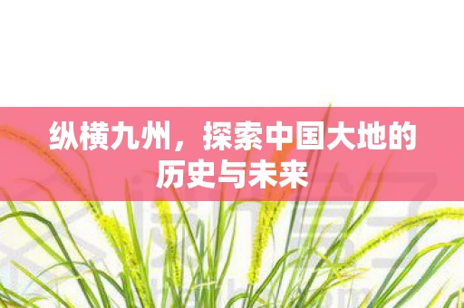 纵横九州，探索中国大地的历史与未来