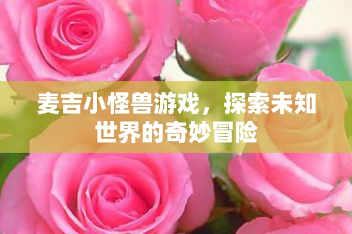 麦吉小怪兽游戏，探索未知世界的奇妙冒险