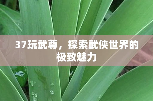 37玩武尊，探索武侠世界的极致魅力