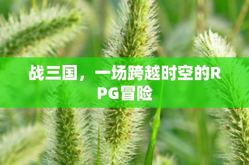 战三国，一场跨越时空的RPG冒险