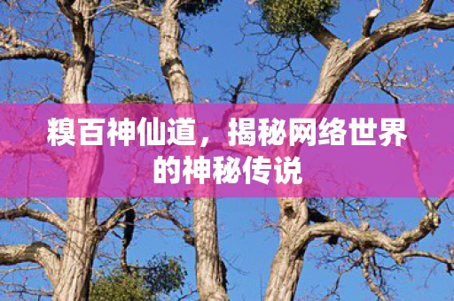 糗百神仙道，揭秘网络世界的神秘传说