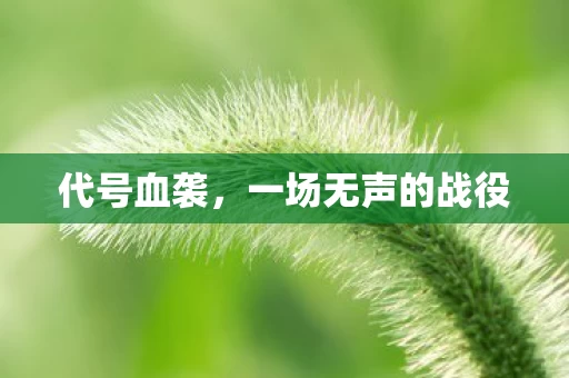 一场无声的战役图片