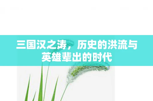 三国汉之涛，历史的洪流与英雄辈出的时代
