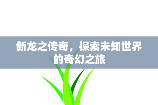 新龙之传奇，探索未知世界的奇幻之旅