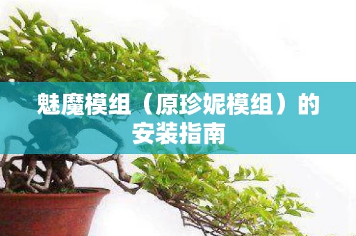 原珍妮模组图片