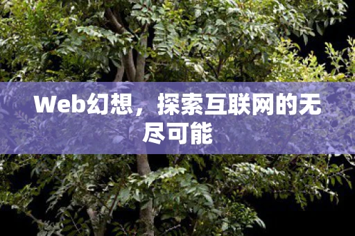 Web幻想，探索互联网的无尽可能