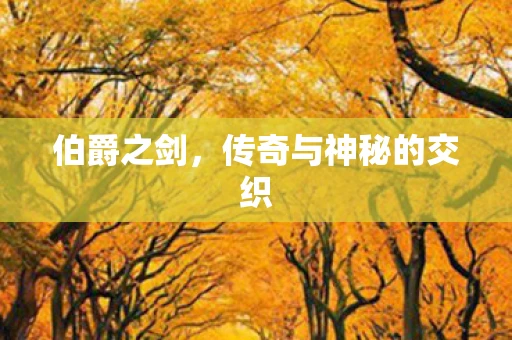 伯爵之剑，传奇与神秘的交织