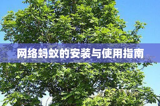 网络蚂蚁的安装与使用指南图片