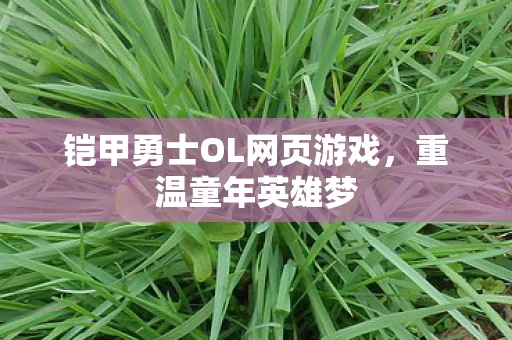 铠甲勇士OL网页游戏，重温童年英雄梦