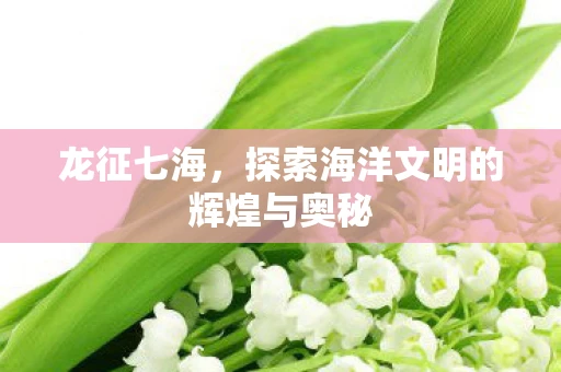 龙征七海，探索海洋文明的辉煌与奥秘