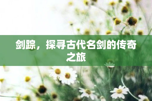 剑踪，探寻古代名剑的传奇之旅