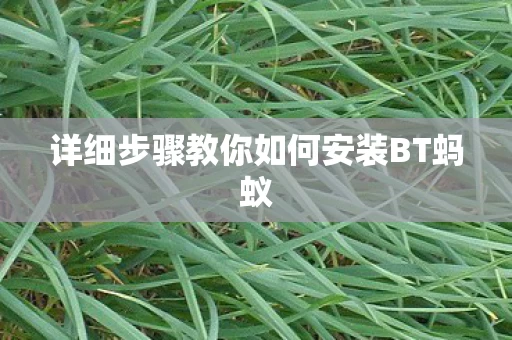 详细步骤教你如何安装BT蚂蚁图片