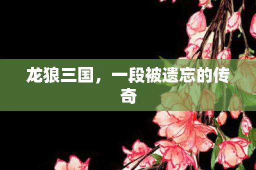 龙狼三国，一段被遗忘的传奇