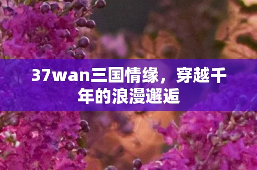 37wan三国情缘，穿越千年的浪漫邂逅