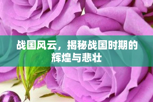 战国风云，揭秘战国时期的辉煌与悲壮