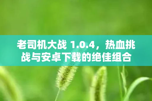 热血挑战与安卓下载的绝佳组合图片
