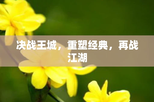 决战王城，重塑经典，再战江湖