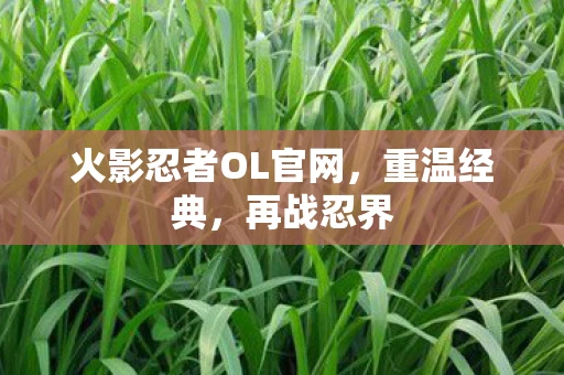 火影忍者OL官网，重温经典，再战忍界