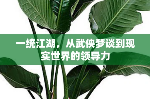 一统江湖，从武侠梦谈到现实世界的领导力