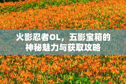 火影忍者OL，五影宝箱的神秘魅力与获取攻略