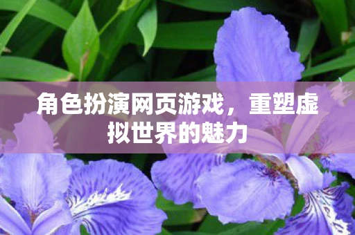 角色扮演网页游戏，重塑虚拟世界的魅力