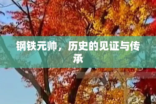钢铁元帅，历史的见证与传承