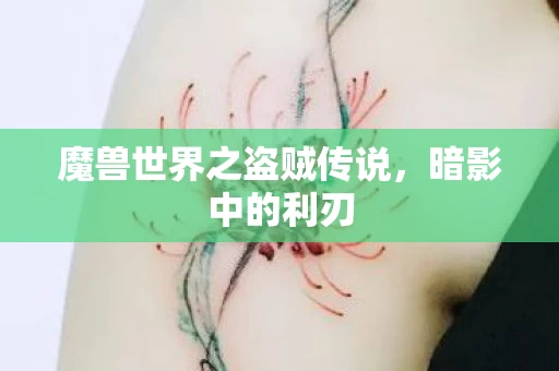 魔兽世界之盗贼传说图片
