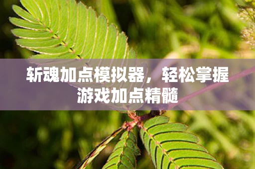 轻松掌握游戏加点精髓图片