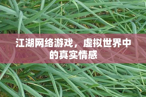 江湖网络游戏，虚拟世界中的真实情感