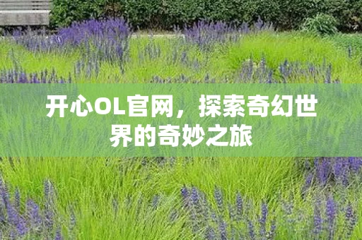 开心OL官网，探索奇幻世界的奇妙之旅