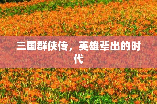 三国群侠传，英雄辈出的时代