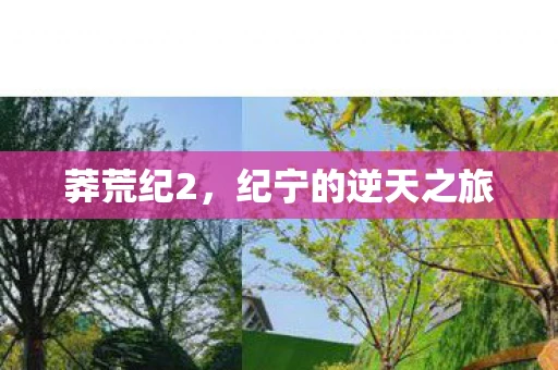 莽荒纪2，纪宁的逆天之旅