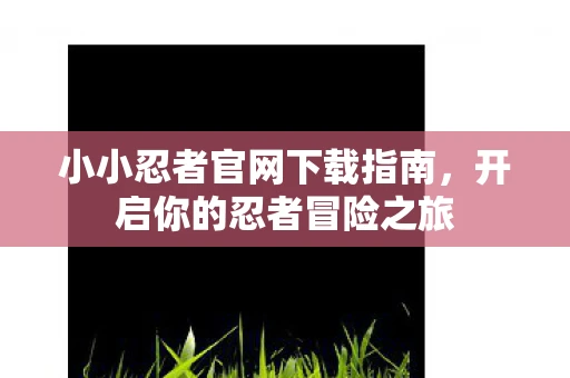 小小忍者官网下载指南，开启你的忍者冒险之旅