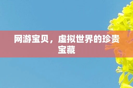 网游宝贝，虚拟世界的珍贵宝藏